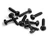 Screw Phillips 2.5x10 (10)