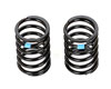 Shock Spring Rear