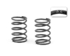 XRAY Spring-Set C = 3.2 (2)